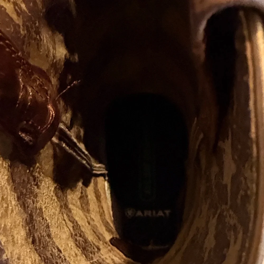 Ariat Brown Heeled Boots with White Accents - Picture 2 of 6